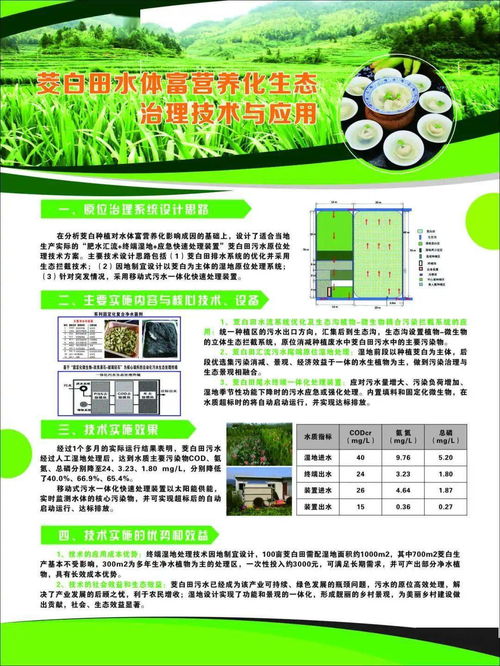 麗水山區(qū)茭白綠色可持續(xù)發(fā)展技術(shù)示范現(xiàn)場會在新建鎮(zhèn)召開