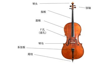 這些樂器，就算化成灰我也認(rèn)識(shí)